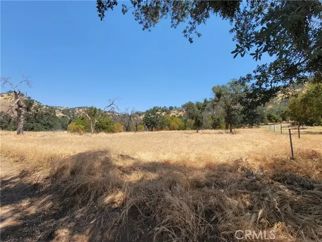 0 Clover Lane, Squaw Valley, CA 93675