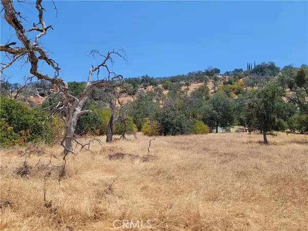 Squaw Valley, CA 93675,0 Clover Lane