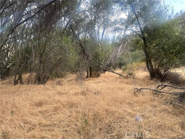 43020 Apache Ranch Road, Ahwahnee, CA 93601