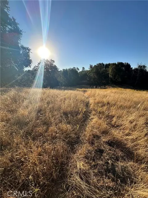 Mariposa, CA 95338,3899 La Rosa Road