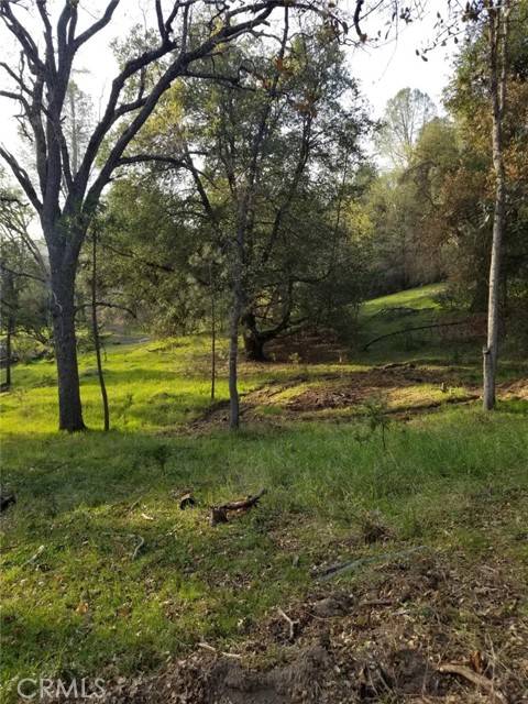 Oakhurst, CA 93644,1 Oak Lane