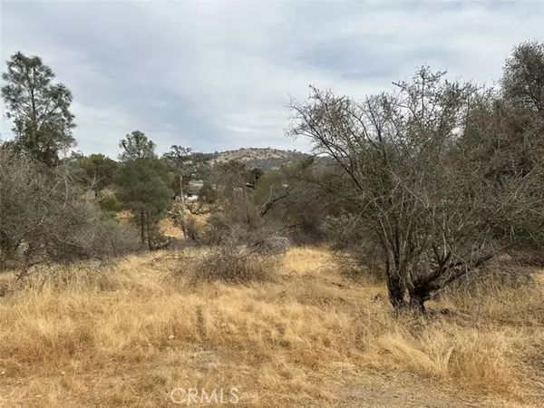 Coarsegold, CA 93614,0 Jim Bowie Court