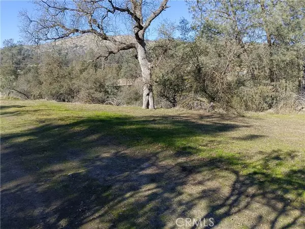 0 Deep Forest Drive, Coarsegold, CA 93614