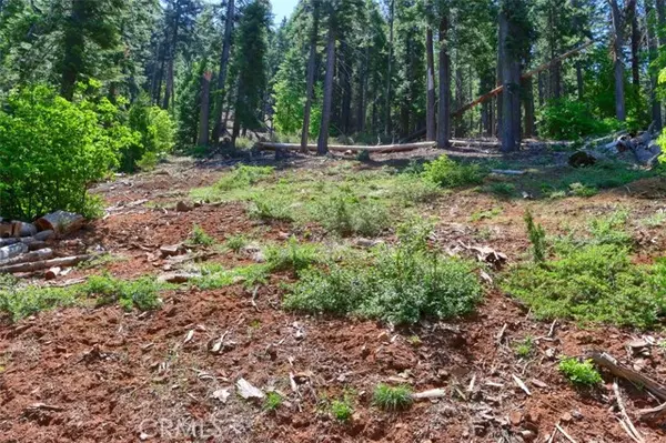 Yosemite, CA 95389,7420 Henness Ridge Road