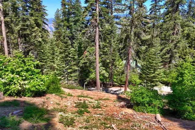 Yosemite, CA 95389,7420 Henness Ridge Road
