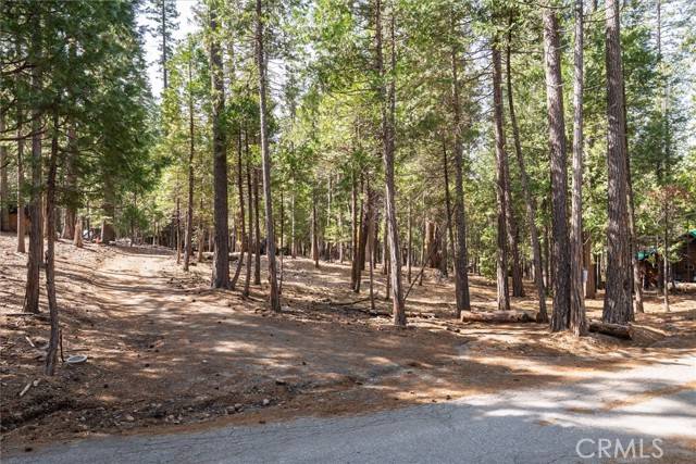 Wawona, CA 95389,1 Koon Hollar