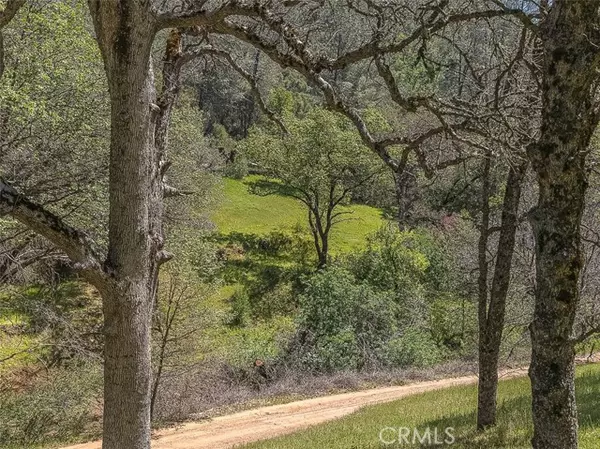 Midpines, CA 95345,4743 Buffalo Gulch Road