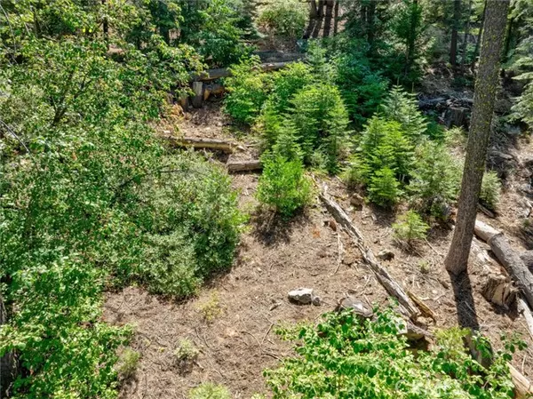 Yosemite, CA 95389,7419 Henness Ridge Road