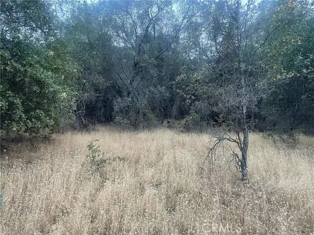 43020 Apache Ranch Road, Ahwahnee, CA 93601