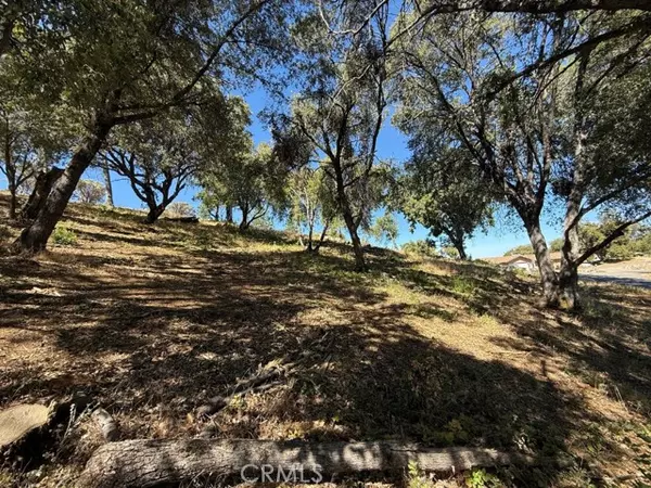 Mariposa, CA 95338,5710 Clouds Rst