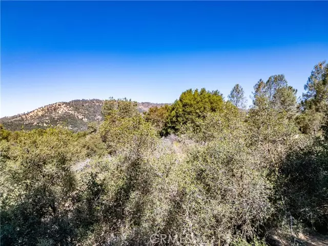 Ahwahnee, CA 93601,41902 Woodward Way