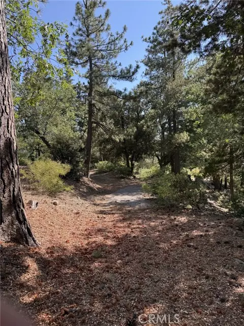 Angelus Oaks, CA 92305,0 Ca-38