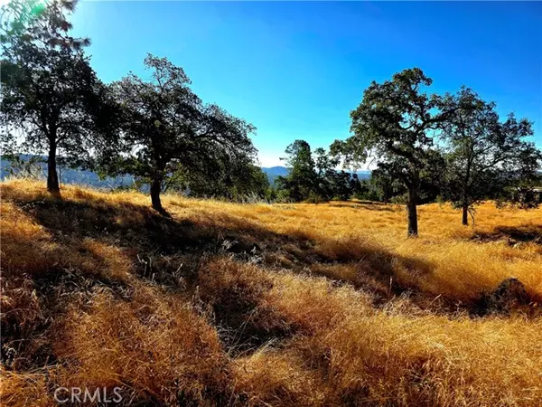 Coarsegold, CA 93614,1 Lilley Mountain Drive