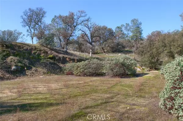 Coarsegold, CA 93614,0 Long Hollow Drive