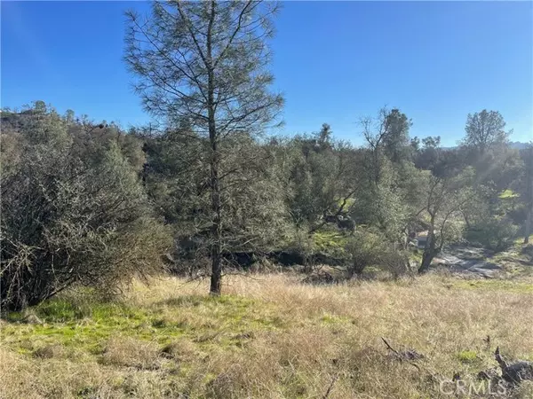 Coarsegold, CA 93614,741 Long Hollow Drive