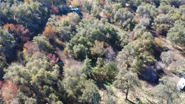 Squaw Valley, CA 93675,0 High Oaks