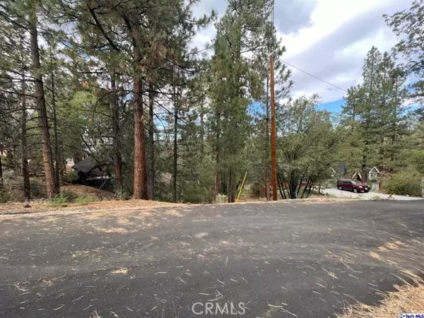 Big Bear, CA 92314,600 Travertine Road