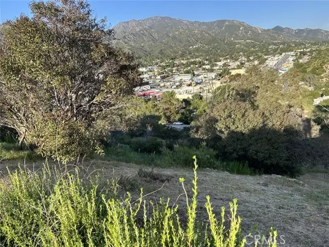 Tujunga, CA 91042,9832 High Top Drive