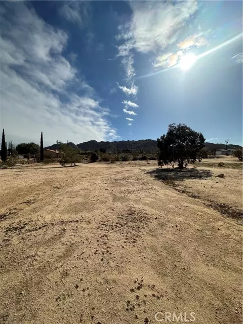 Joshua Tree, CA 92252,60450 Alta Mesa Drive