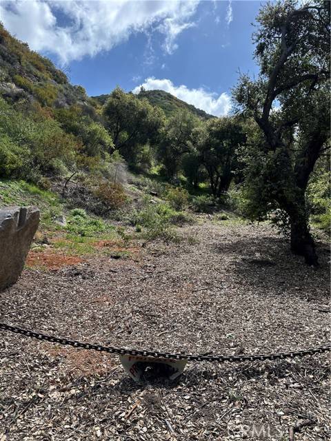 1 Latigo Canyon Road, Malibu, CA 90265