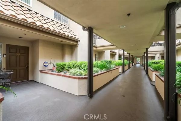 Glendale, CA 91206,537 North Adams Street