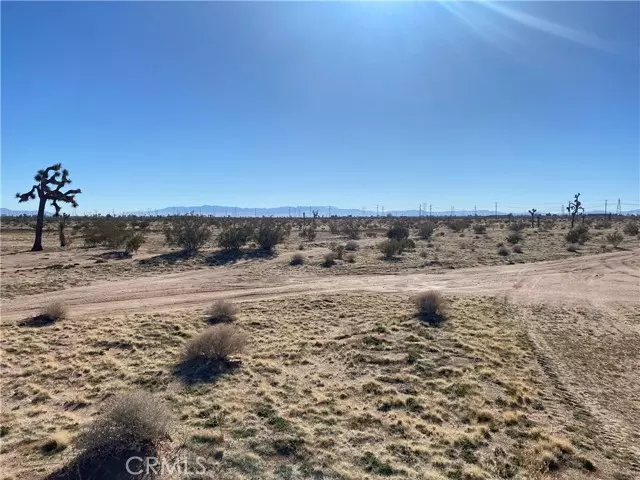 Adelanto, CA 92301,0 Hibiscus Road