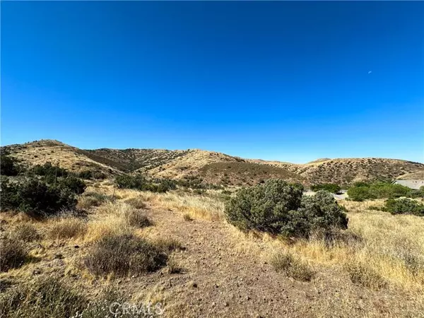 0 Big Springs Road, Agua Dulce, CA 91350