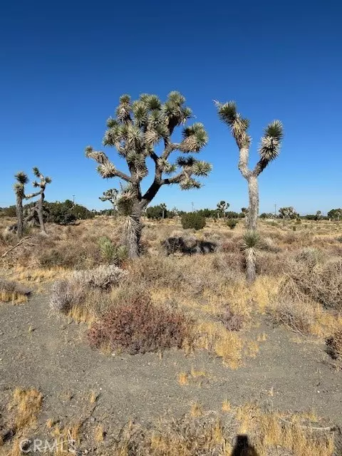 0 Beekley Road, Pinon Hills, CA 92372