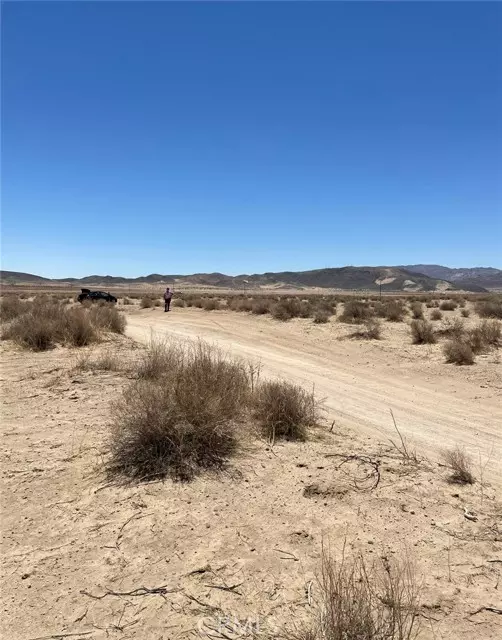 Joshua Tree, CA 92252,0 Reagan Road