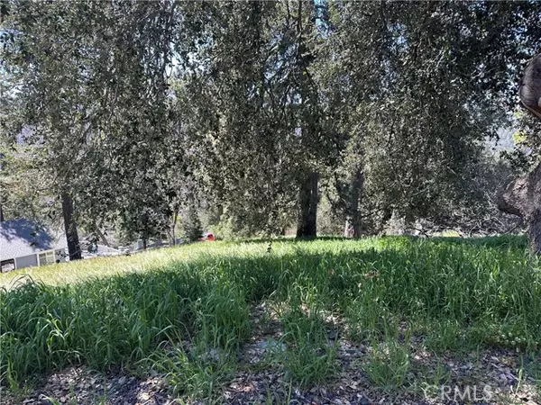 Cedarpines Park, CA 92322,0 Elliot Road