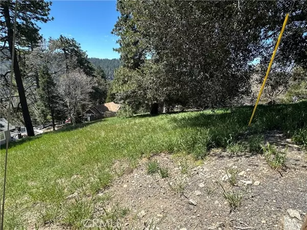 Cedarpines Park, CA 92322,0 Elliot Road