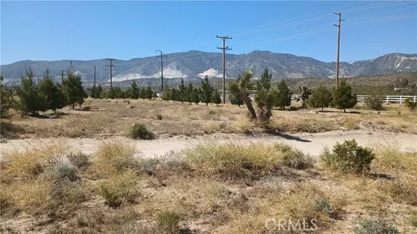 Lucerne Valley, CA 92356,0 Ca-18