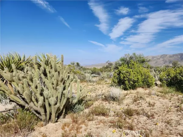 Mountain Center, CA 92561,1 Sun Terrace