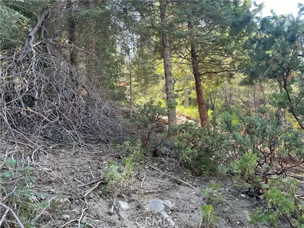 Twin Peaks, CA 92391,28 Lot 28 Forest Lane