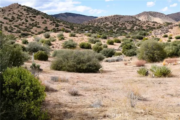 Pioneertown, CA 92268,0 Tumbleweed Trail