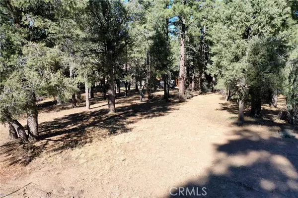 Big Bear City, CA 92314,24 Lot 24 Skyview Drive