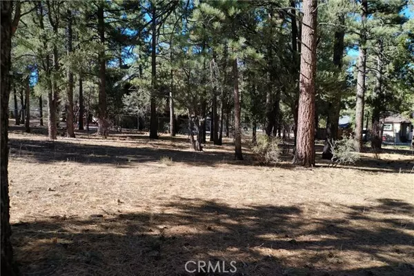 Big Bear City, CA 92314,24 Lot 24 Skyview Drive