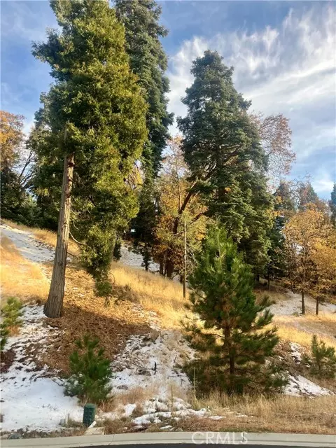 Lake Arrowhead, CA 92352,285 Hidden Forest Road