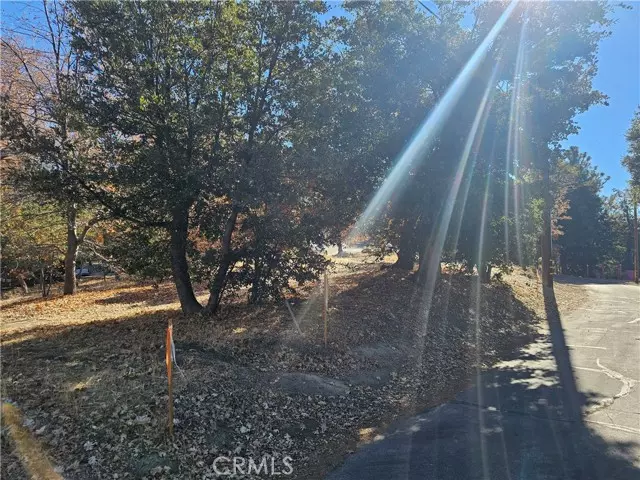 Lake Arrowhead, CA 92352,0 Edgecliff Drive