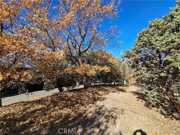 Lake Arrowhead, CA 92352,0 Edgecliff Drive