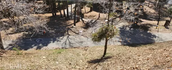 Running Springs, CA 92382,0 Preston Drive