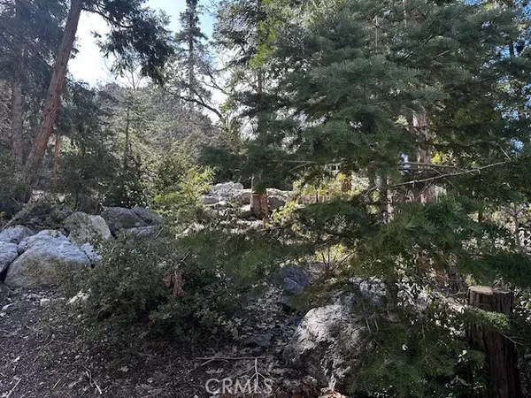 Forest Falls, CA 92339,0 Fir