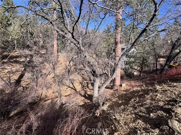 Big Bear City, CA 92314,1230 South Minton Avenue