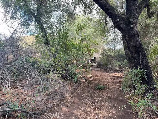 Murrieta, CA 92562,0 Hombre Lane