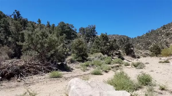 Pioneertown, CA 92268,0 Orion Trail