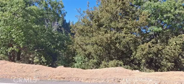 Lake Arrowhead, CA 92352,0 Brentwood Drive