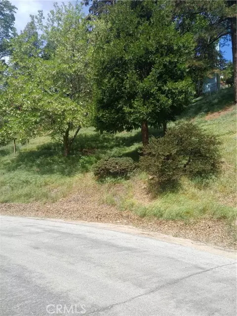 Crestline, CA 92325,0 Davos