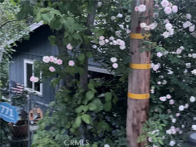 Crestline, CA 92325,771 Woodland Road