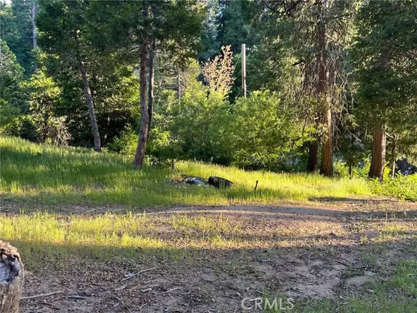 Cedar Glen, CA 92321,29038 Terrace