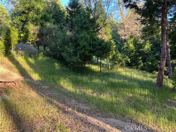 Cedar Glen, CA 92321,29038 Terrace